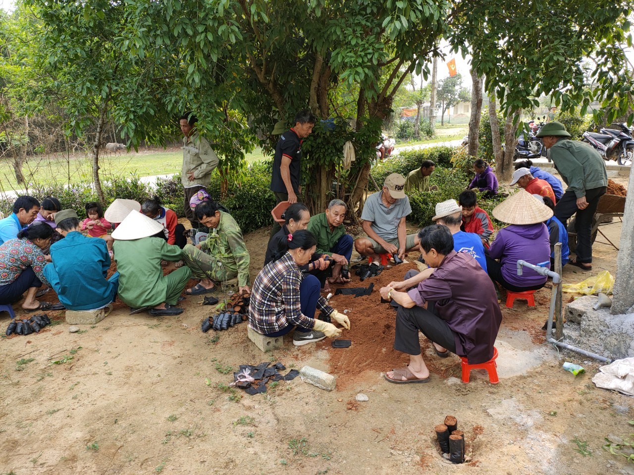 Chi hội cựu chiến binh thôn Sơn Bình 2, xã Kỳ Sơn tổ chức ươm bầu cây chè tàu